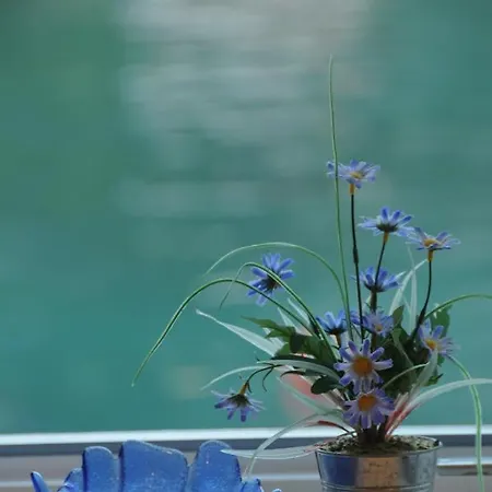 Sea Song Maranovići